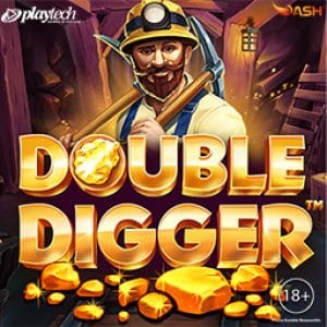Double Digger™ screenshot