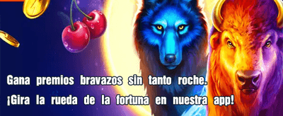 Vive la emoción del deporte
